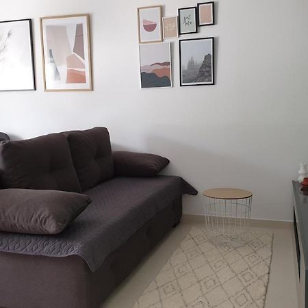 Lovely Private Flats Free Parking Novi Sad Bagian luar foto