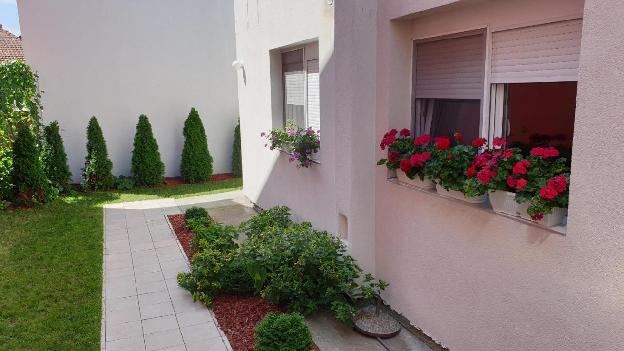 Lovely Private Flats Free Parking Novi Sad Bagian luar foto