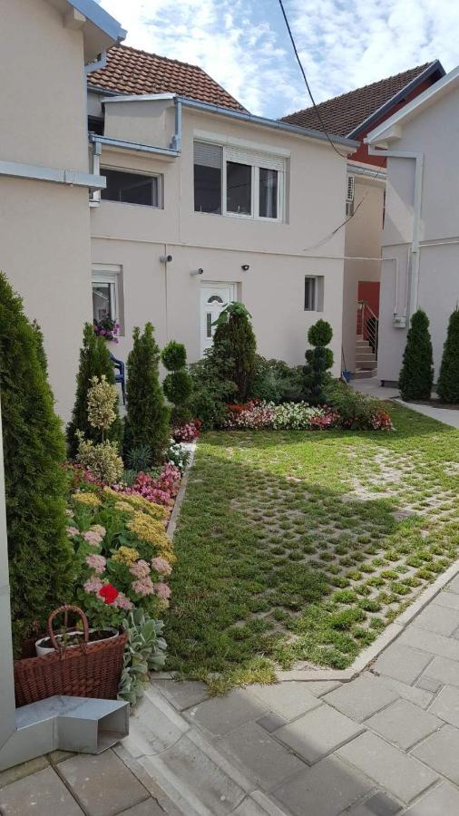 Lovely Private Flats Free Parking Novi Sad Bagian luar foto